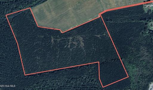 Aerial Surface Water