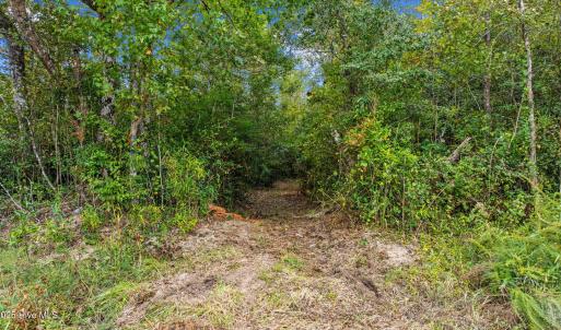 11-web-or-mls-Full11