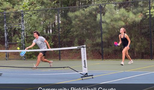 Pickleball