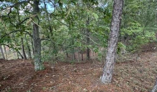 Photo #3 of 106 Parker, West End, NC 0.8 acres