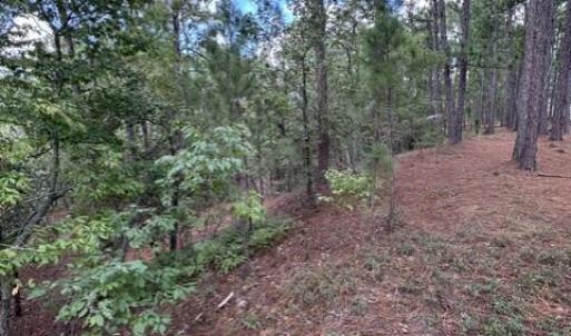 Photo #4 of 106 Parker, West End, NC 0.8 acres