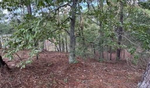 Photo #8 of 106 Parker, West End, NC 0.8 acres
