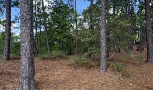 Photo #11 of 106 Parker, West End, NC 0.8 acres