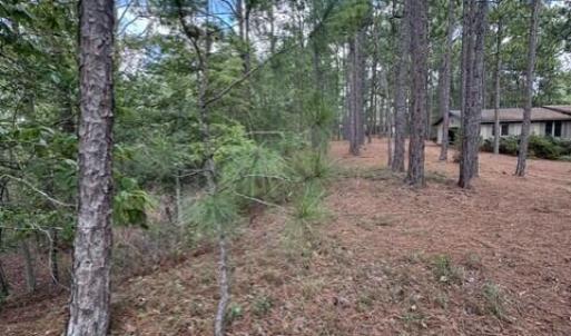 Photo #2 of 106 Parker, West End, NC 0.8 acres