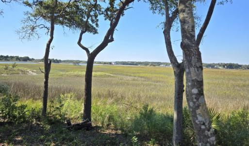 View of the Marsh Left