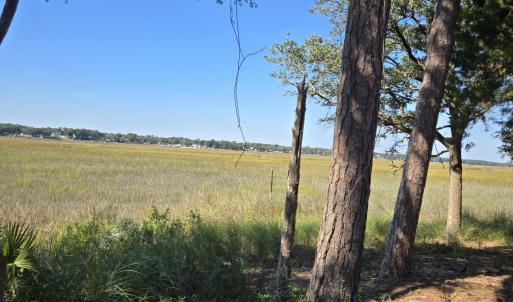 View of the Marsh Right