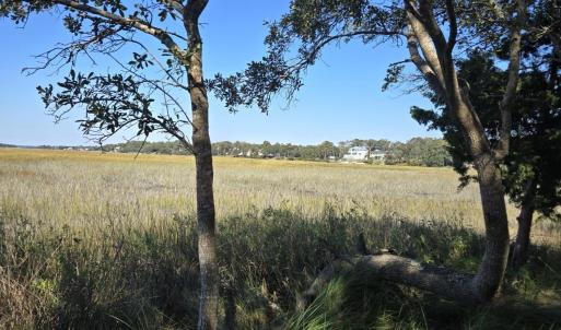 Right side of the Marsh North