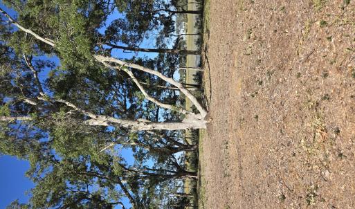 WINDY POINT