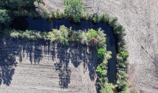 DJI_20251007083751_0648_D