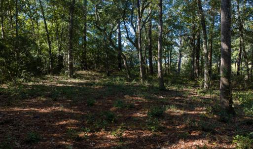 6954 Runningbrook Terr Lot MLS-16