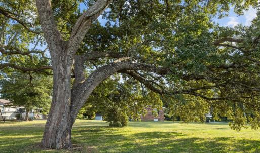 4-web-or-mls-1S3A0766