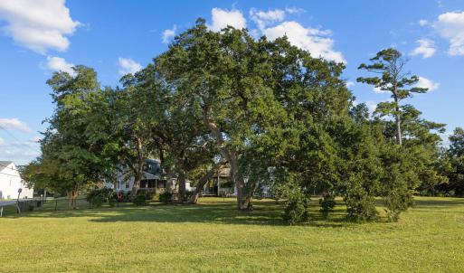 5-web-or-mls-1S3A0779