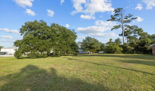 3-web-or-mls-1S3A0761