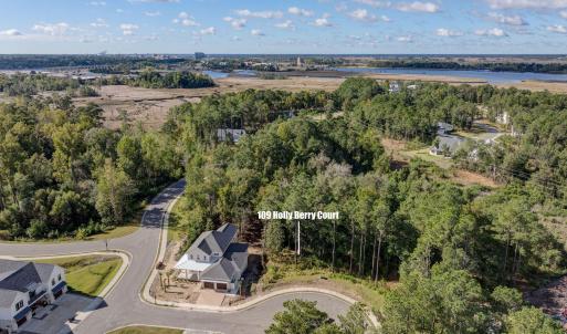 109HollyBerryCourtDrone-2