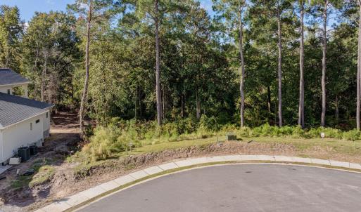 109HollyBerryCourtDrone-1