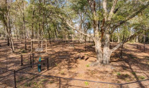 PreservationPointDrone-19