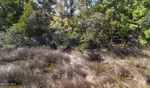 DJI_20251022140355_0538_D Large