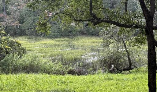Looking West over Marsh