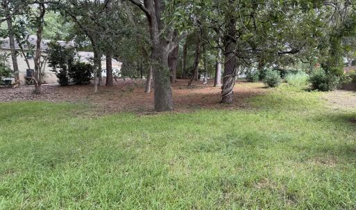 Looking Back Toward Lot Front...