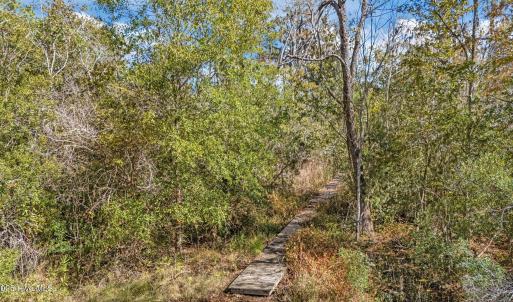 14-web-or-mls-DJI_20251020132710_0088_D