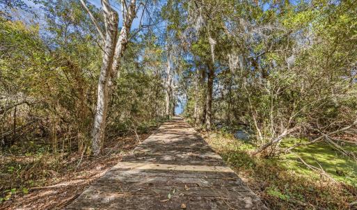 29-web-or-mls-IMG_1884