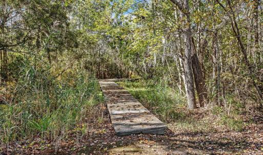 28-web-or-mls-IMG_1883