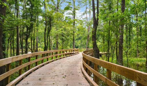 bluffs trail