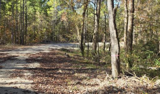 easement:drivetotract2