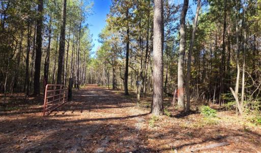 drive:roadtobothtracts