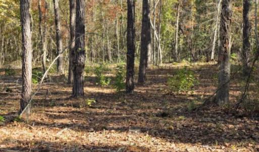 lookingtotract1fromeasement