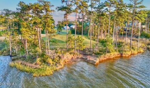 Close Up from Broad Creek