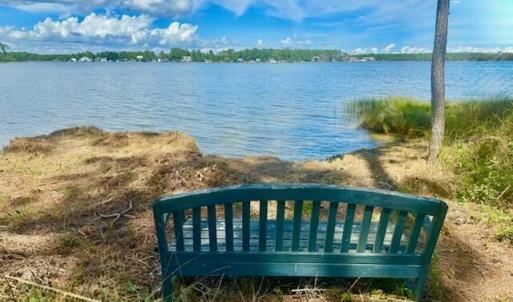 Chillin By the Water