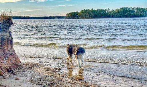 659A4D6D-FC91-4990-9079-02ADFCBAD4E2