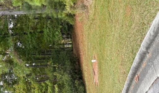 wooded, cul-de-sac lot