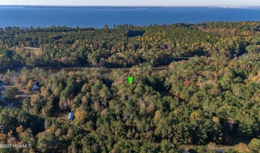 2_photo--tarpon-pointe-road