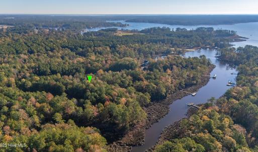 6_photo--tarpon-pointe-road