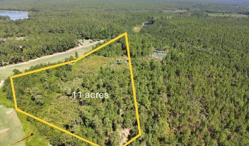 Photo #2 of Trt 11 Peach Orchard, Wagram, NC 11.0 acres