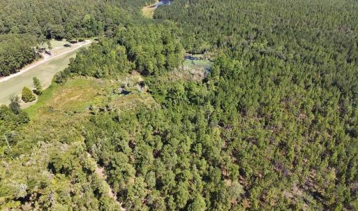 Photo #4 of Trt 11 Peach Orchard, Wagram, NC 11.0 acres