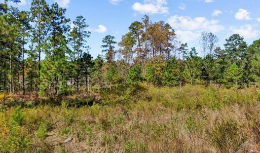 03-dji_fly_20240202_055616_0105_17611637