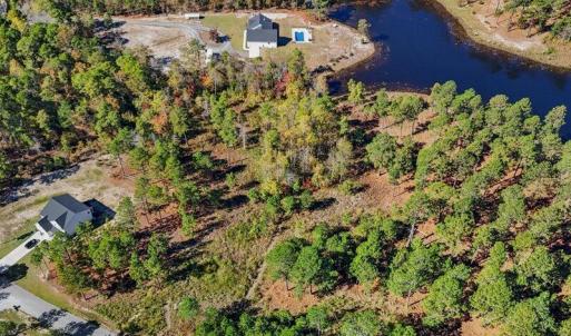 10-dji_fly_20240202_055534_0102_17611637