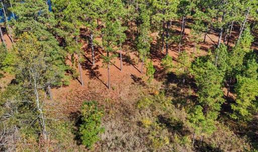 07-dji_fly_20240202_055704_0109_17611637