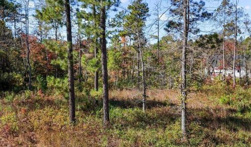 04-dji_fly_20240202_055654_0108_17611637