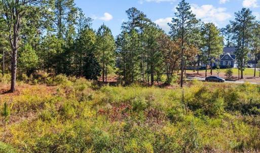 01-dji_fly_20240202_055644_0107_17611637