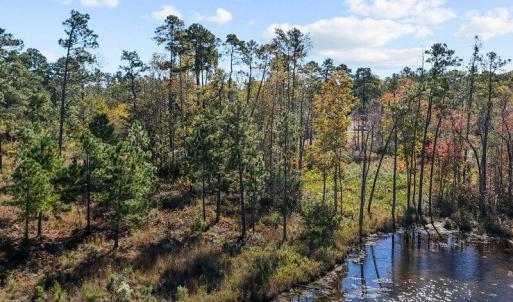 05-dji_fly_20240202_055728_0111_17611637