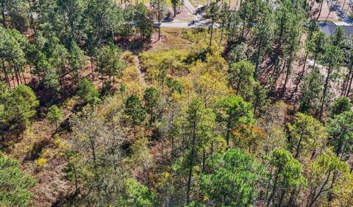 06-dji_fly_20240202_055736_0112_17611637