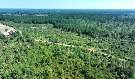 DJI_20250809040016_0600_D