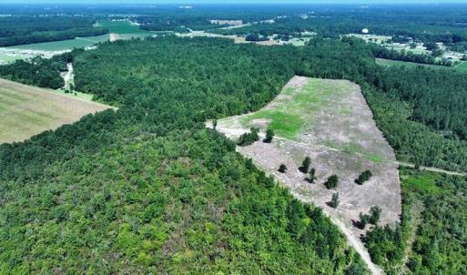 DJI_20250809041234_0626_D