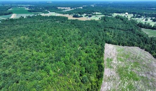 DJI_20250809041204_0624_D