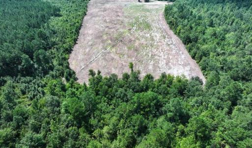 DJI_20250720041206_0586_D