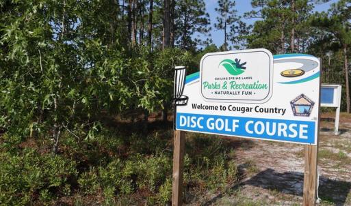 Disc Golf